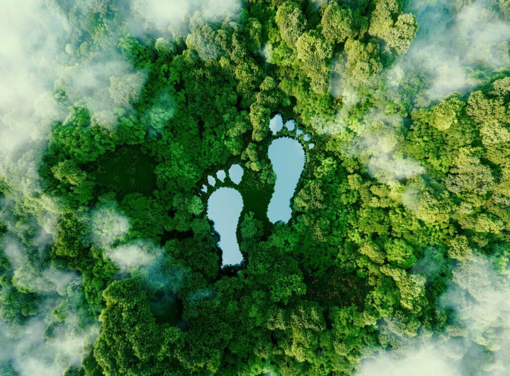 Footprint